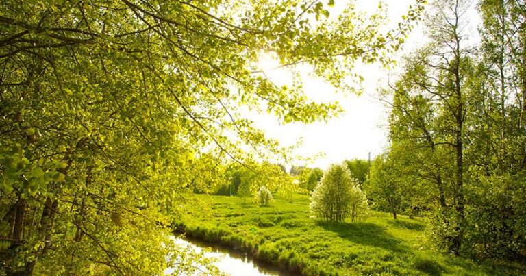 Ötən ay havanın temperaturu iqlim normasından yuxarı olub