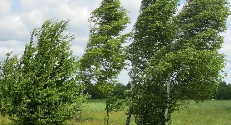 Hava ilə bağlı sarı və narıncı xəbərdarlıq – Həftəsonu hava necə olacaq?
